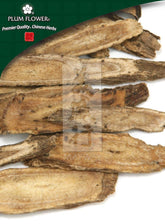 木香(土),未硫化的旋覆花根